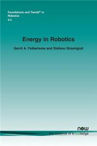 Energy in Robotics