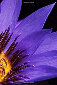 Purple Water Lily Flower Journal
