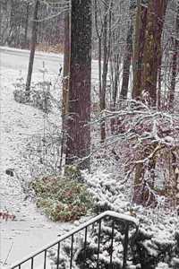 2020 Weekly Planner Winter Scene Snow Dusting 134 Pages