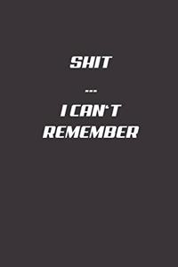Shit I Can't Remember