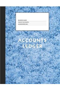 Accounts Ledger