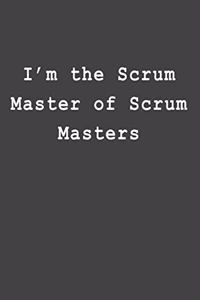 I'm the Scrum Master of Scrum Masters