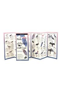 Birds of Florida's Gulf Coast