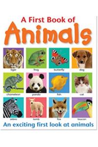 A First Book of Animals: An Exciting First Look at Animals