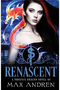 Phoenix Dragon Novel 01