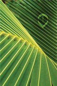 Palm Leaf Blank Book