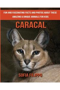 Caracal