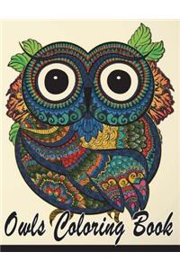 Owls Coloring Book