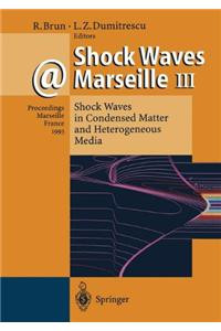 Shock Waves at Marseille