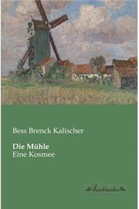 Mühle: Eine Kosmee