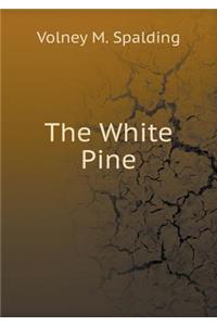 The White Pine