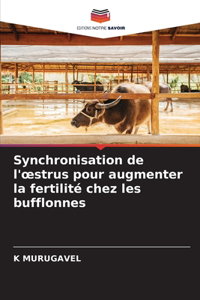 Synchronisation de l'oestrus pour augmenter la fertilité chez les bufflonnes