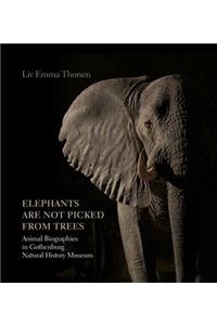 Elephants Are Not Picked from Trees