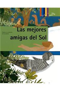 Las mejores amigas del sol / The Sun's Best Friends