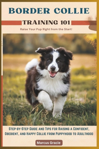Border Collie Training 101