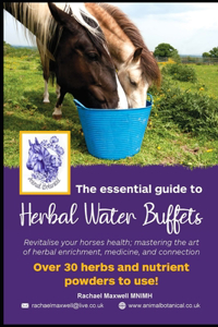 Essential Guide to Herbal Water Buffets