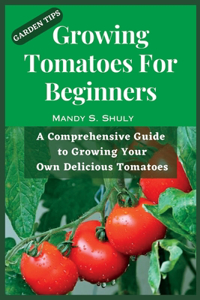 Growing Tomatoes For Beginners
