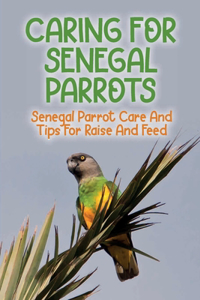 Caring For Senegal Parrots