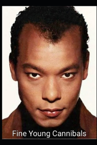 Fine Young Cannibals