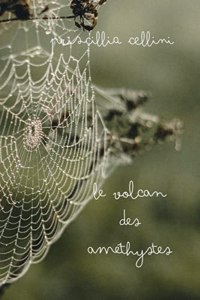 Le volcan des améthystes