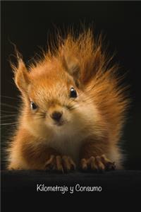 Kilometraje y Consumo
