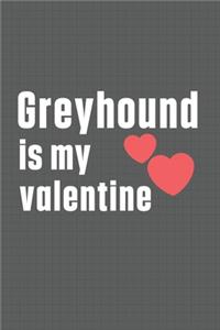 Greyhound is my valentine
