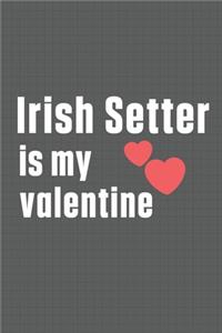 Irish Setter is my valentine