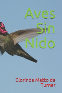 Aves Sin Nido