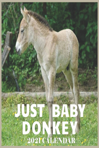 Just Baby Donkey 2021 Calendar