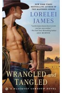 Wrangled and Tangled