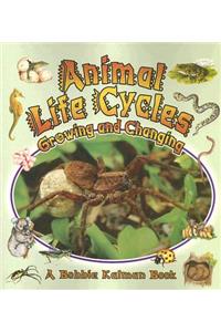 Animal Life Cycles