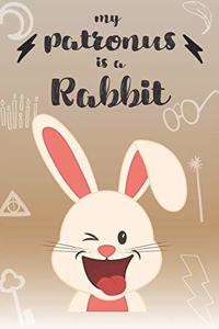 My Patronus Is A Rabbit