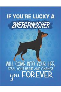 If You're Lucky A Zwergpinscher Will Come Into Your Life, Steal Your Heart And Change You Forever