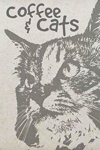 Coffee & Cats