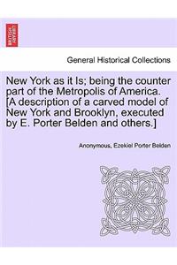 New York as It Is; Being the Counter Part of the Metropolis of America. [a Description of a Carved Model of New York and Brooklyn, Executed by E. Porter Belden and Others.]