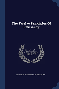 The Twelve Principles Of Efficiency
