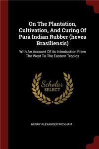 On The Plantation, Cultivation, And Curing Of Parà Indian Rubber (hevea Brasiliensis)