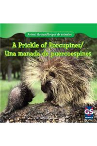 A Prickle of Porcupines/Una Manada de Puercoespines