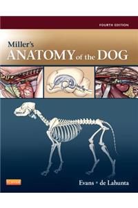 Miller's Anatomy of the Dog