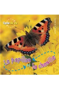 Cycle de Vie: Le Papillion Et La Chenille
