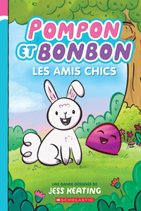 Pompon Et Bonbon N° 1 - Les Amis Chics