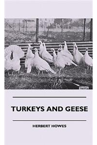 Turkeys And Geese