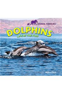 Dolphins