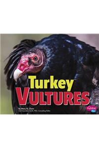 Turkey Vultures
