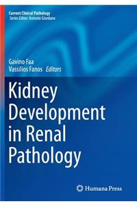 Kidney Development in Renal Pathology