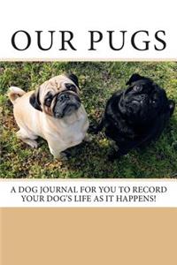 Our Pugs
