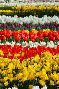 Mind Blowing Row Of Flowers Journall