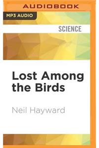 Lost Among the Birds