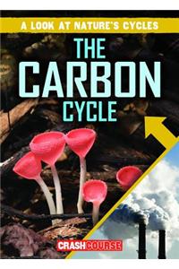 Carbon Cycle