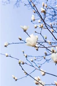 Delicate White Blossoms on a Flowering Tree in Springtime Journal